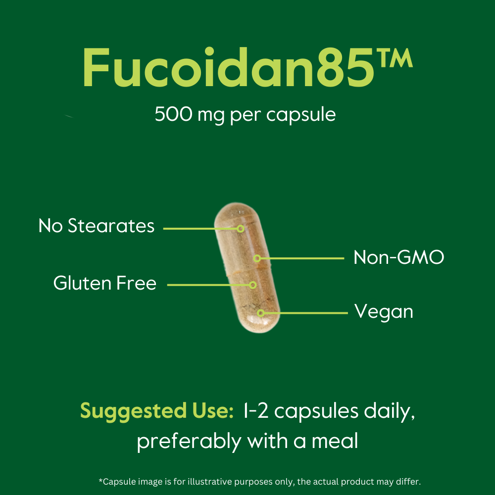 Fucoidan 85% 500 mg (Will Ship After: April 7th, 2025)