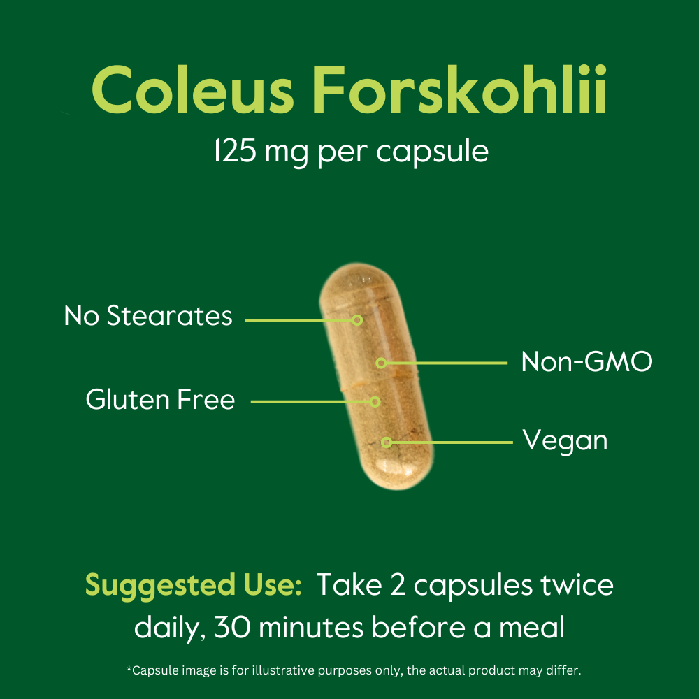 Coleus Forskohlii 125mg - 20% Forskolin