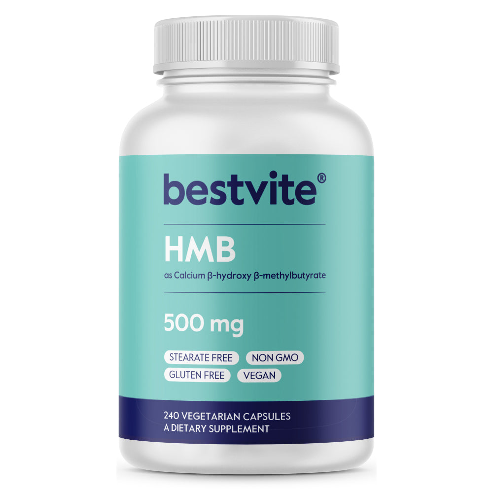 hmb l carnitina injetavel Creatine LCLT allowing you to train harder BESTVITE HMB 1000mg per Serving