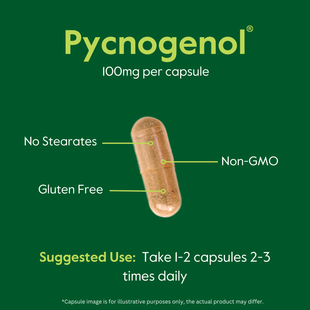 Pycnogenol 100mg