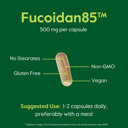 Fucoidan 85% 500 mg