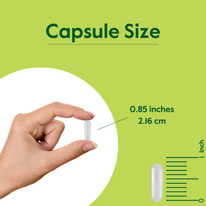 Fucoidan 85% 500 mg