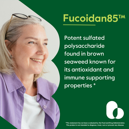 Fucoidan 85% 500 mg