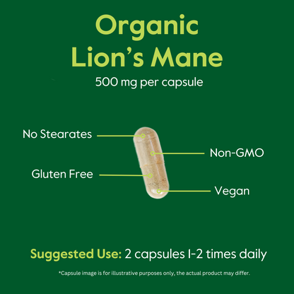 Lion's Mane (Organic) 500mg