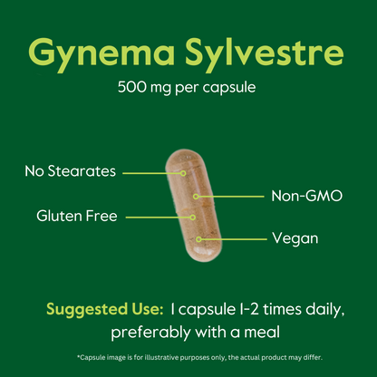 Gymnema Sylvestre 500mg