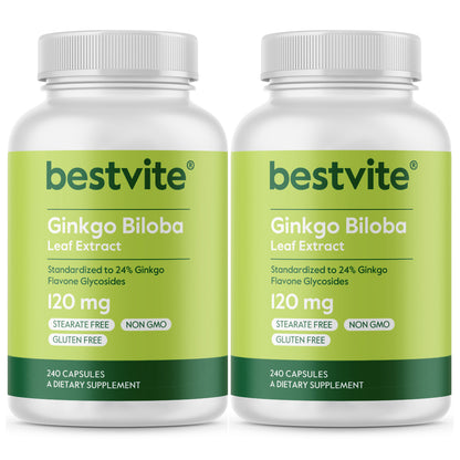 Ginkgo Biloba 120mg
