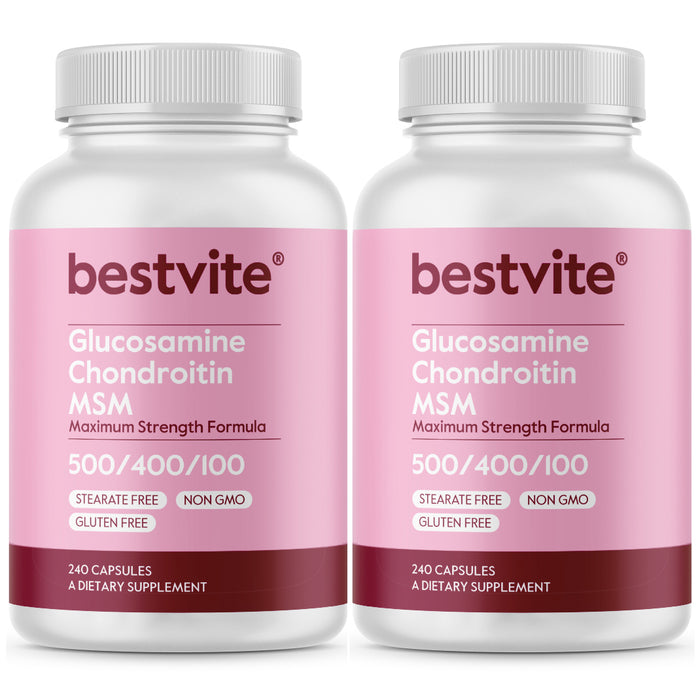 Glucosamine / Chondroitin  /MSM 500 / 400 / 100