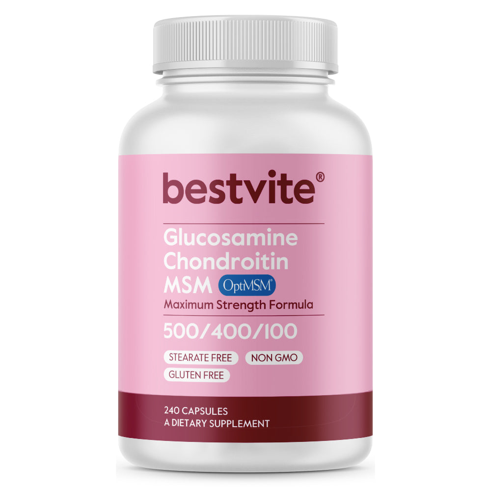 Glucosamine / Chondroitin  /MSM 500 / 400 / 100