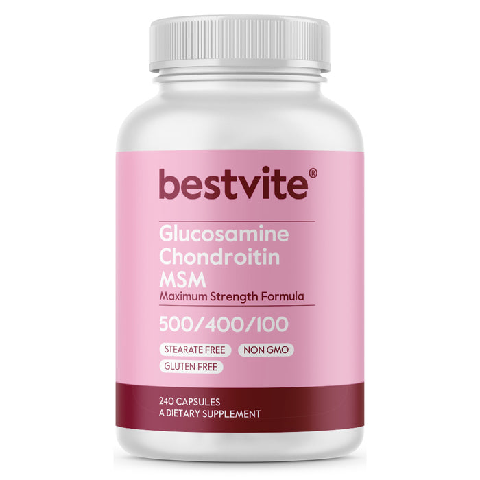 Glucosamine / Chondroitin  /MSM 500 / 400 / 100