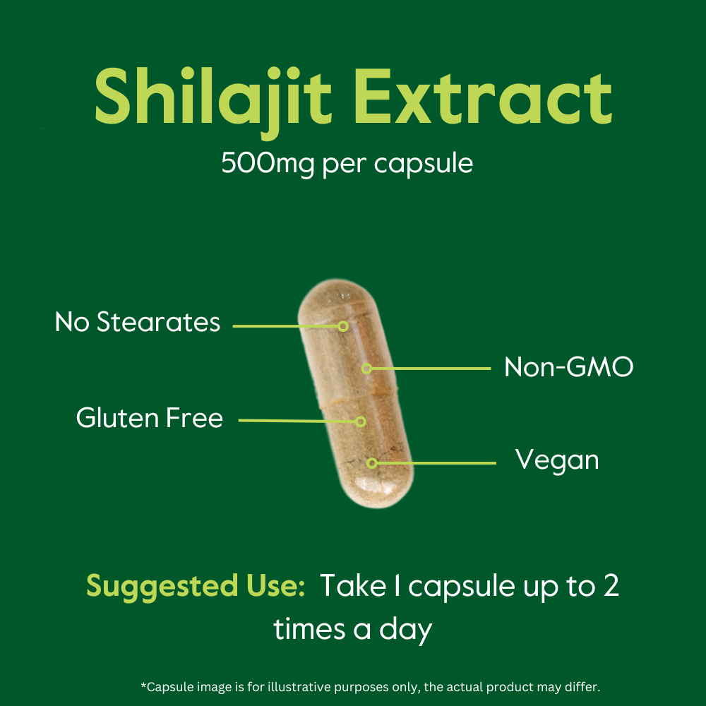 Shilajit Extract 500mg