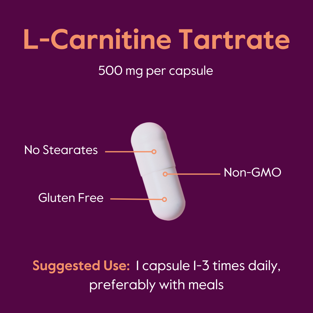 l-carnitine daily recommended dosage How Much L-Carnitine Per Day: Expert Guide – The Science of Good Health l-carnitine daily recommended dosage How Much L-Carnitine Per Day: Expert Guide – The Science of Good Health