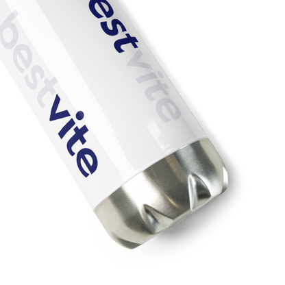 Stainless Steel Water Bottle (17 fl oz)