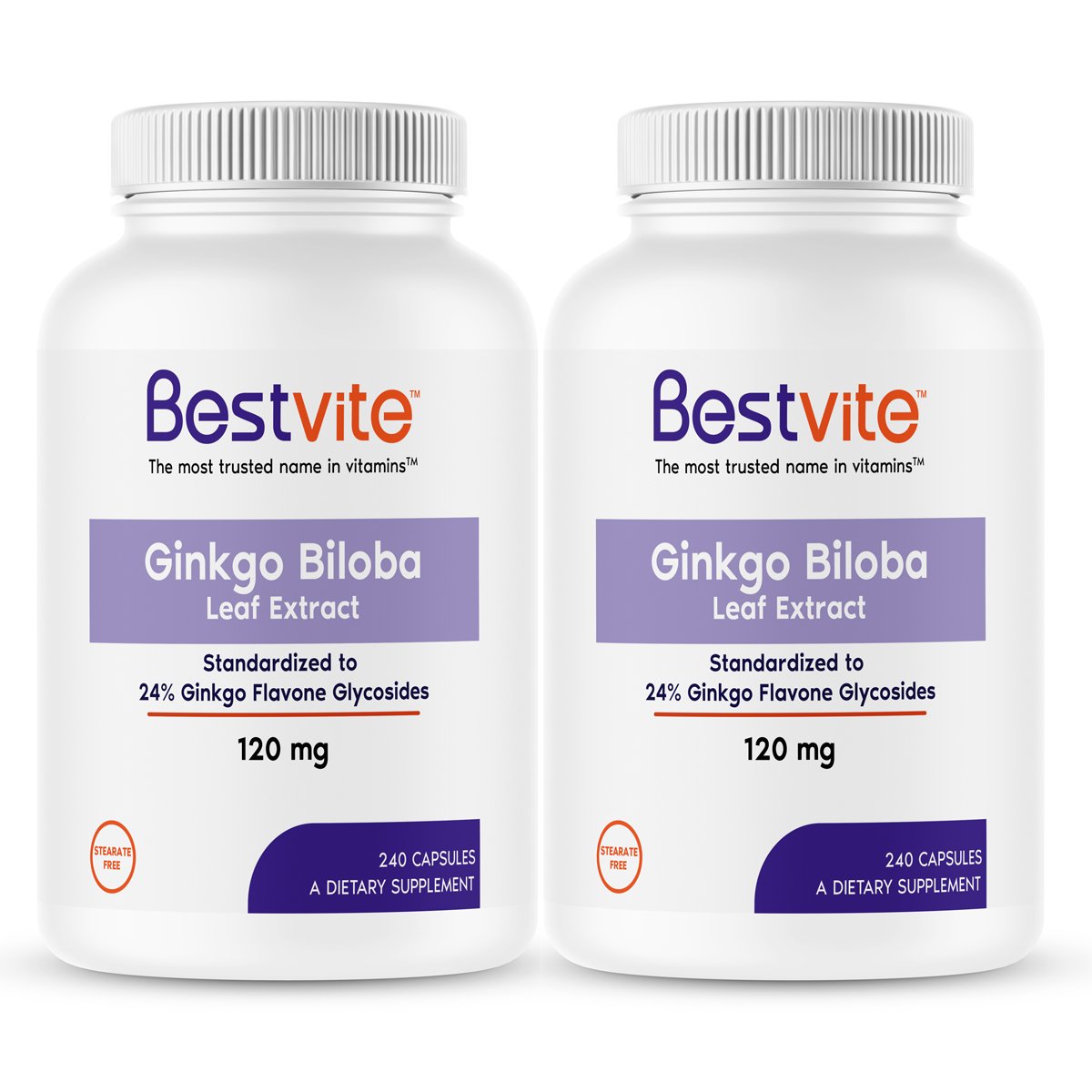 Ginkgo Biloba 120mg